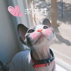 bec中级听力part3,bec中级听力真题第3辑