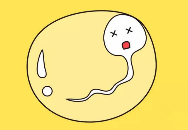 精子死亡的十大原因,如何辨别自己的精子是死的