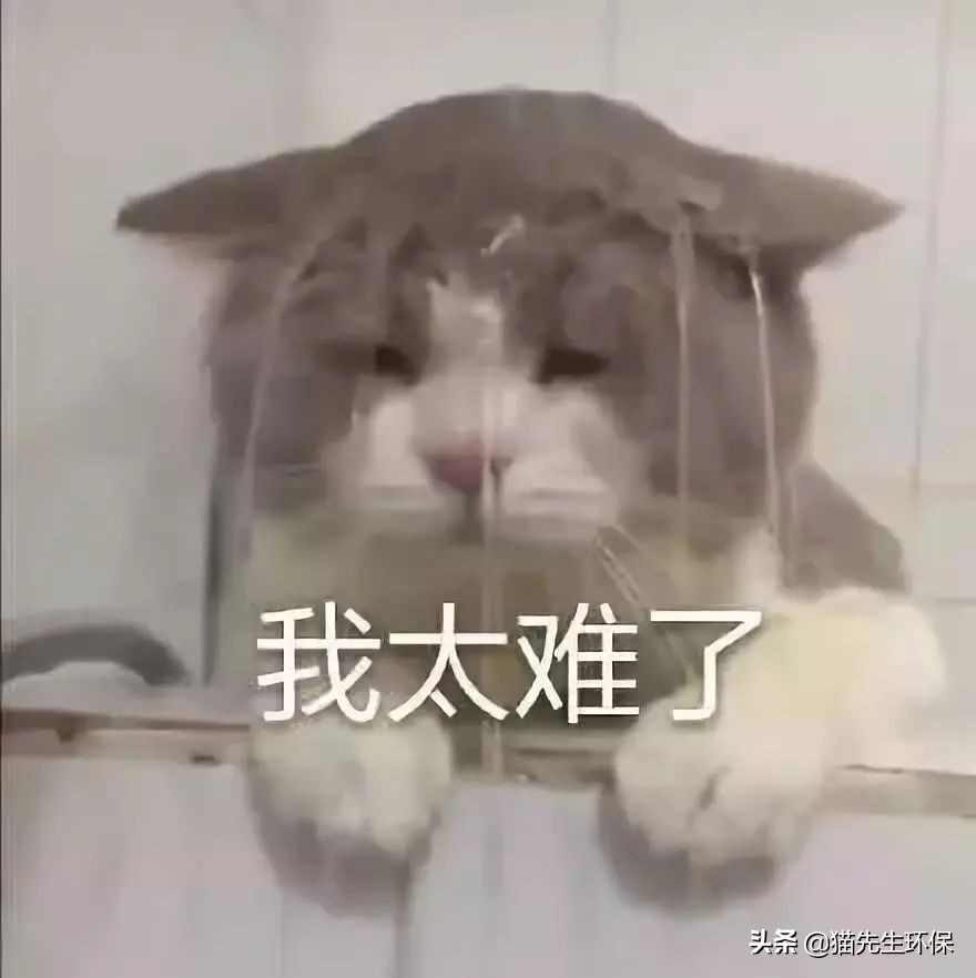 你是什么垃圾？又酸又南的2019年度热词，雨你有瓜