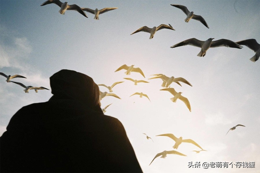 皮革胃是啥？是墙上的蚊子血还是心口的朱砂痣，相差只是一张保单