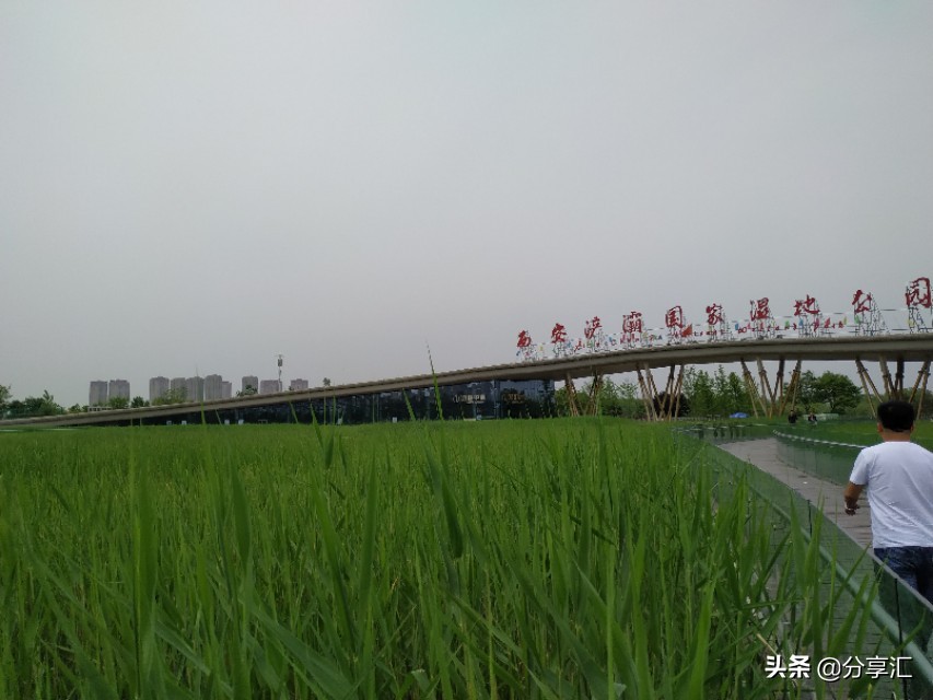 西安浐灞国家湿地公园近期航拍,西安浐灞国家湿地公园板块发展