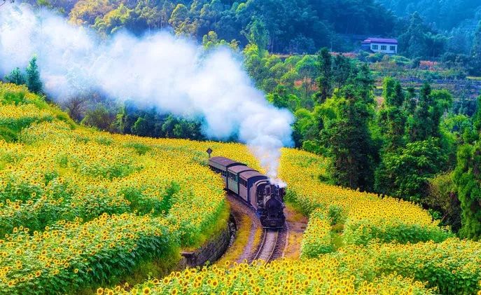 太美了开往春天的列车,这些开往春天的列车简直美呆了