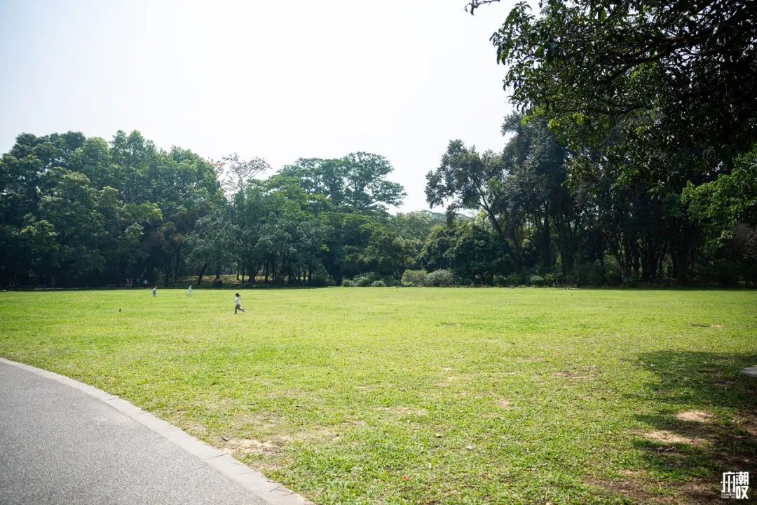 300+万㎡原始森林秘境，天河就有