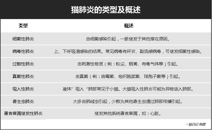 宠物科普知识大全素材,宠物吸入性肺炎治疗