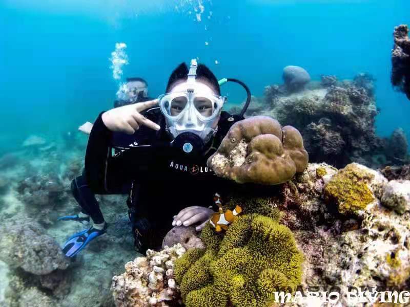 河南省象棋等级赛网络人气冠军--田峻麟