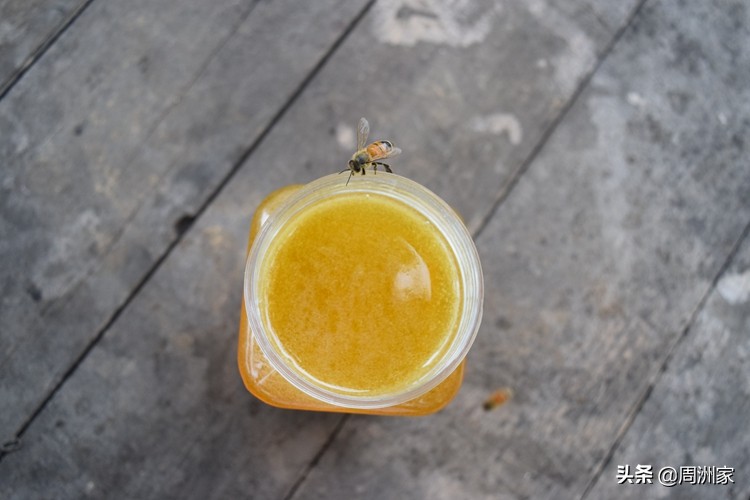 正宗的蜂蜜会结晶和固态吗,我买的蜂蜜怎么成硬块了