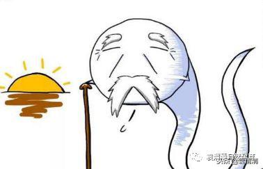 精子的十三种死法