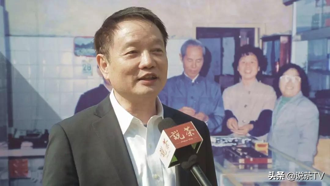 中茶海堤茗茶节,福建中茶海堤