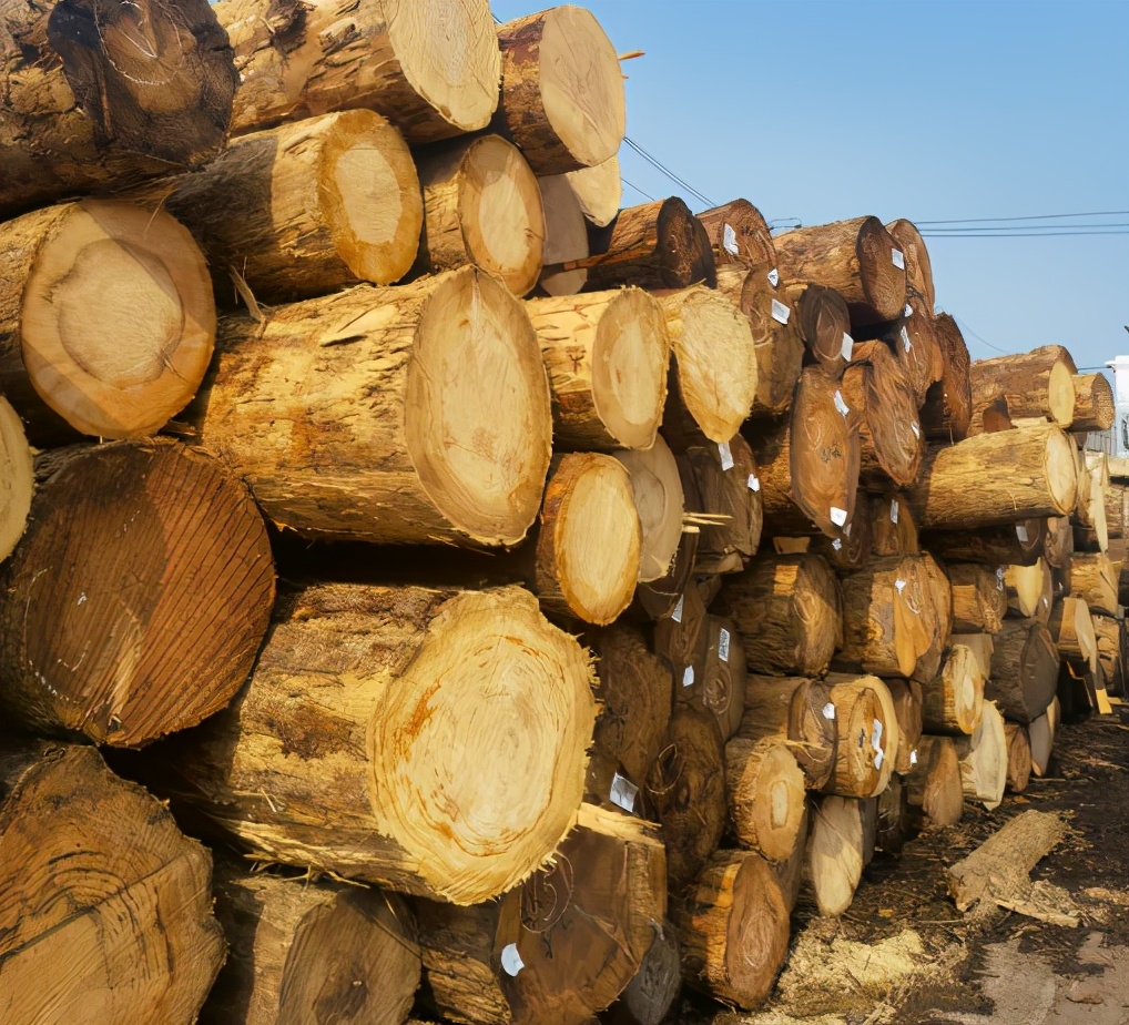 杉木桩户外寿命,如何有效预防杉木开裂