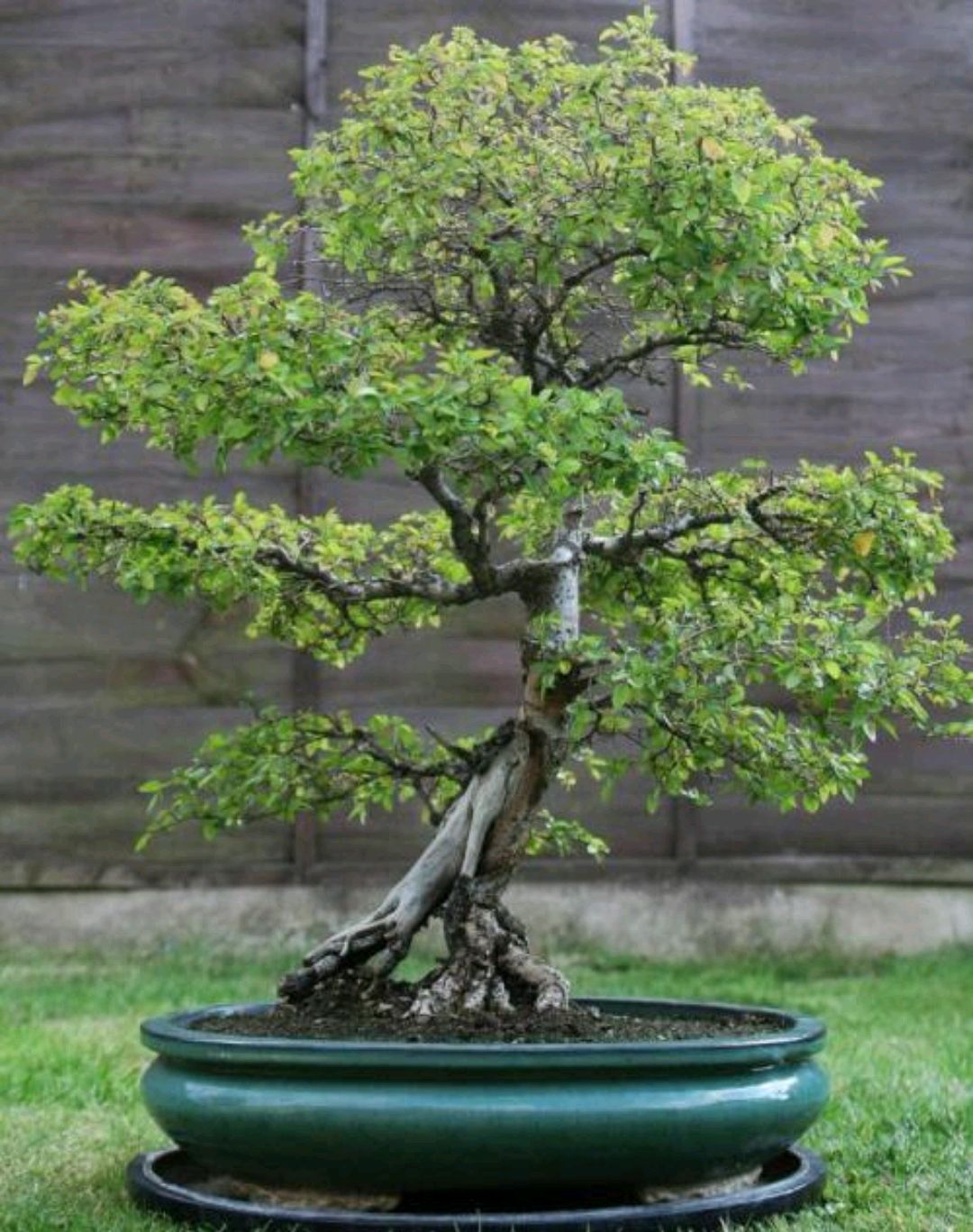 日常礼数,人生礼数有哪些