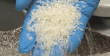 大米总是长虫怎么办,大米生虫米店老板教你一招