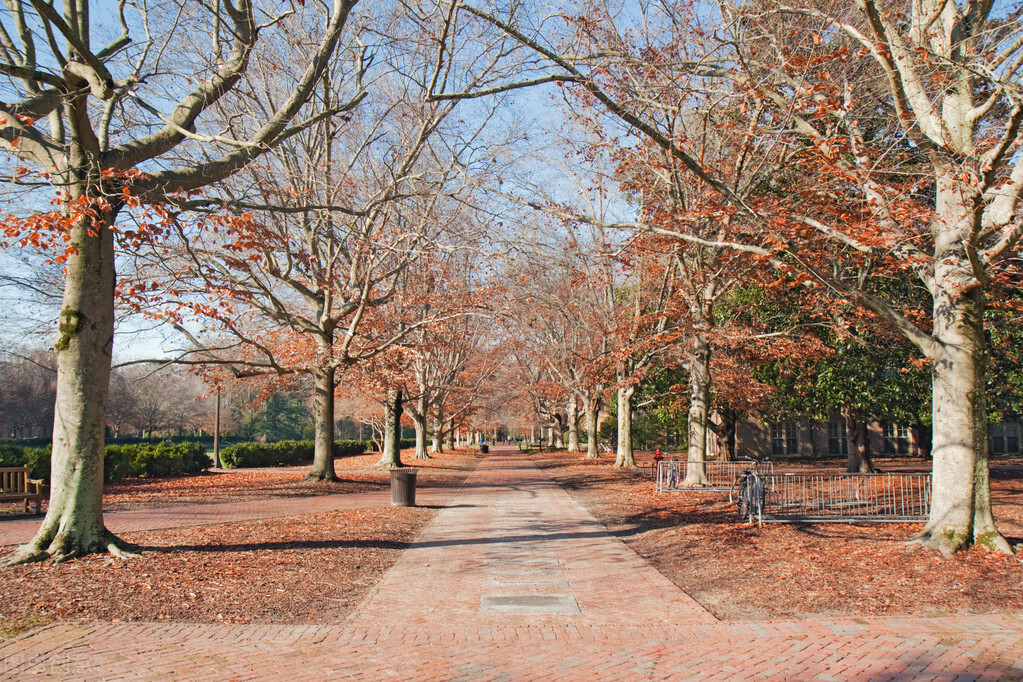 美国一共有多少常春藤大学,美国常春藤联盟大学有哪几所