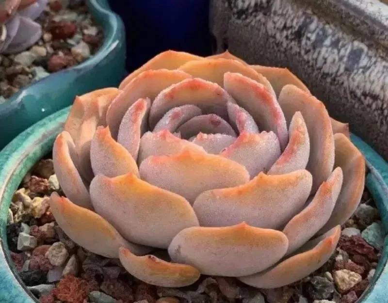 柳州直飞哪里近,柳州出发可以去哪里玩