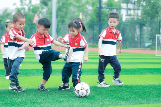 天元公学16项智力运动,杭州天元公学与运动智力学校