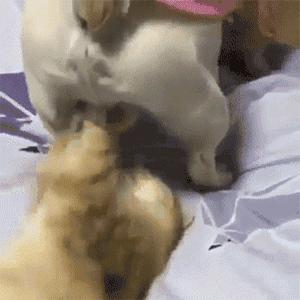 口里叫着宝贝心里一点波澜都没有,嘴里天天叫着小宝贝