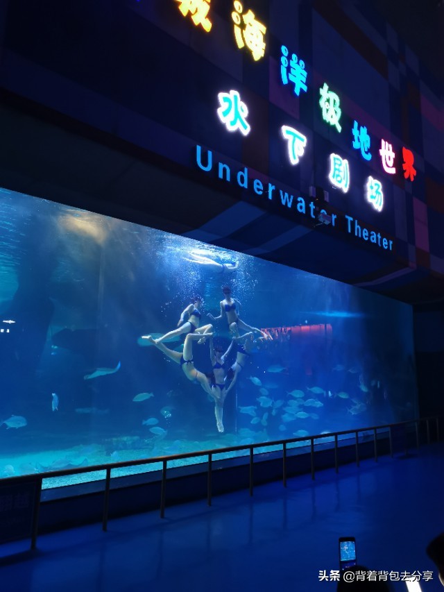 去泉城海洋极地世界需要带什么,济南到齐河海洋世界攻略