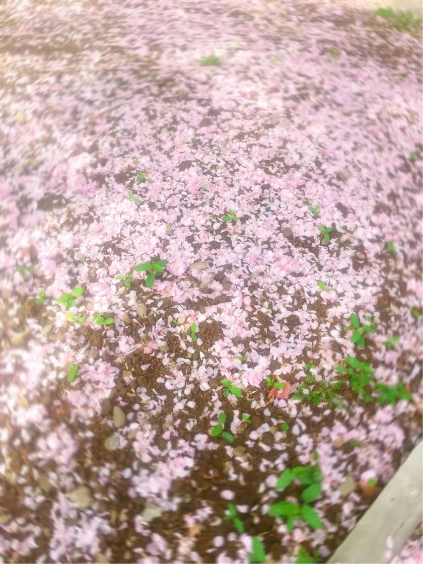 行走在路上的歌曲,行走在路上的真实图片