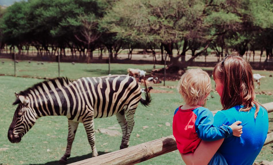 两岁多孩子旅游适合去哪儿,冬天两岁宝宝适合去哪儿旅游