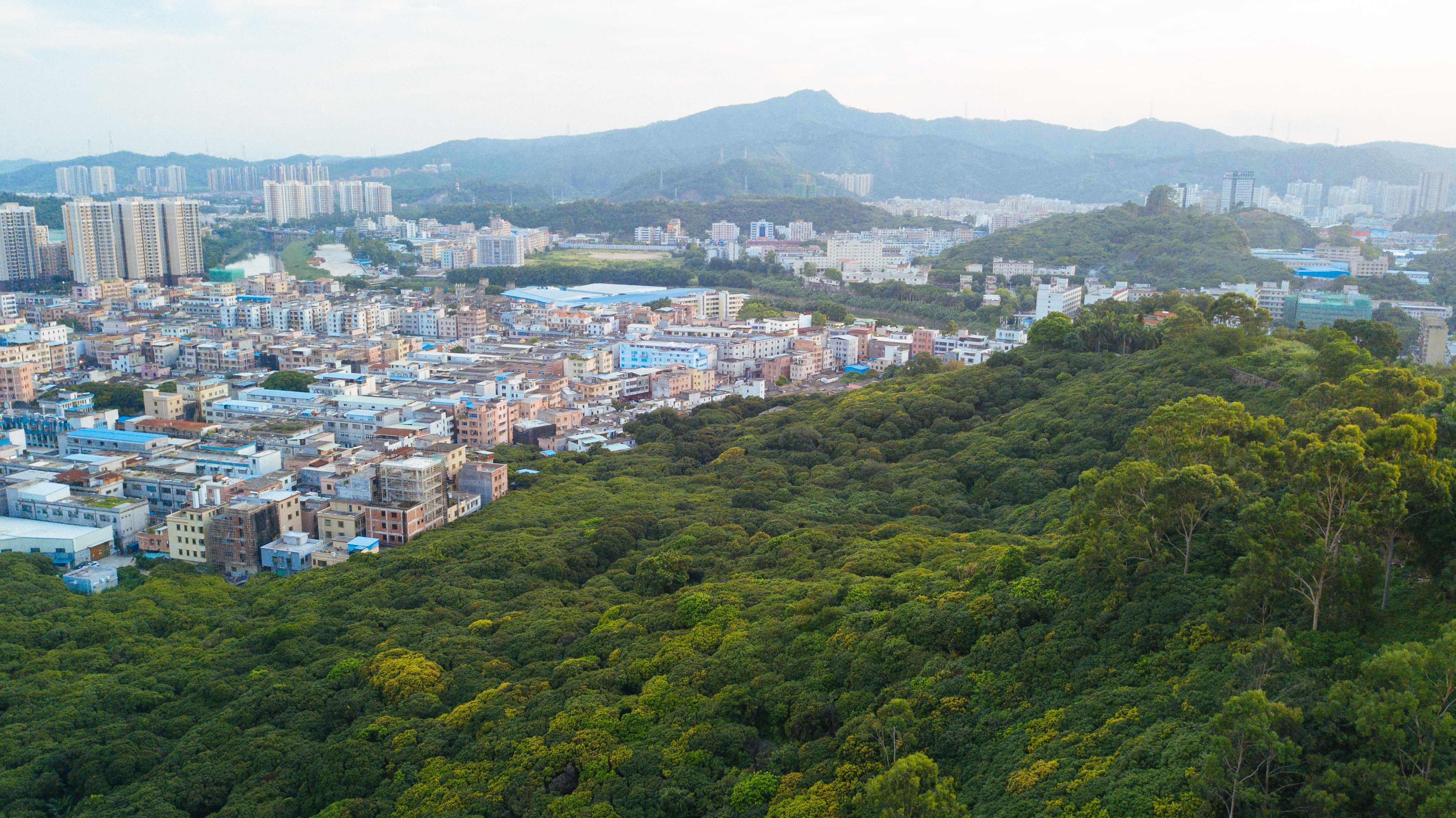 樟木头有什么好的酒店,樟木头哪间酒店环境好
