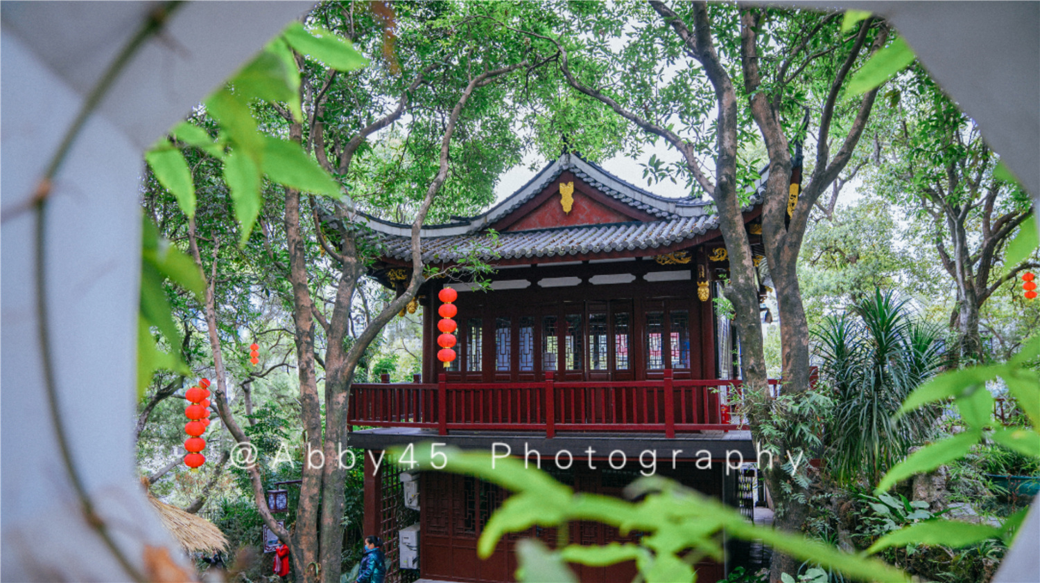 国内十大兰圃之一在福州,莫负好*光春**,免费尽享兰花的春之盛宴