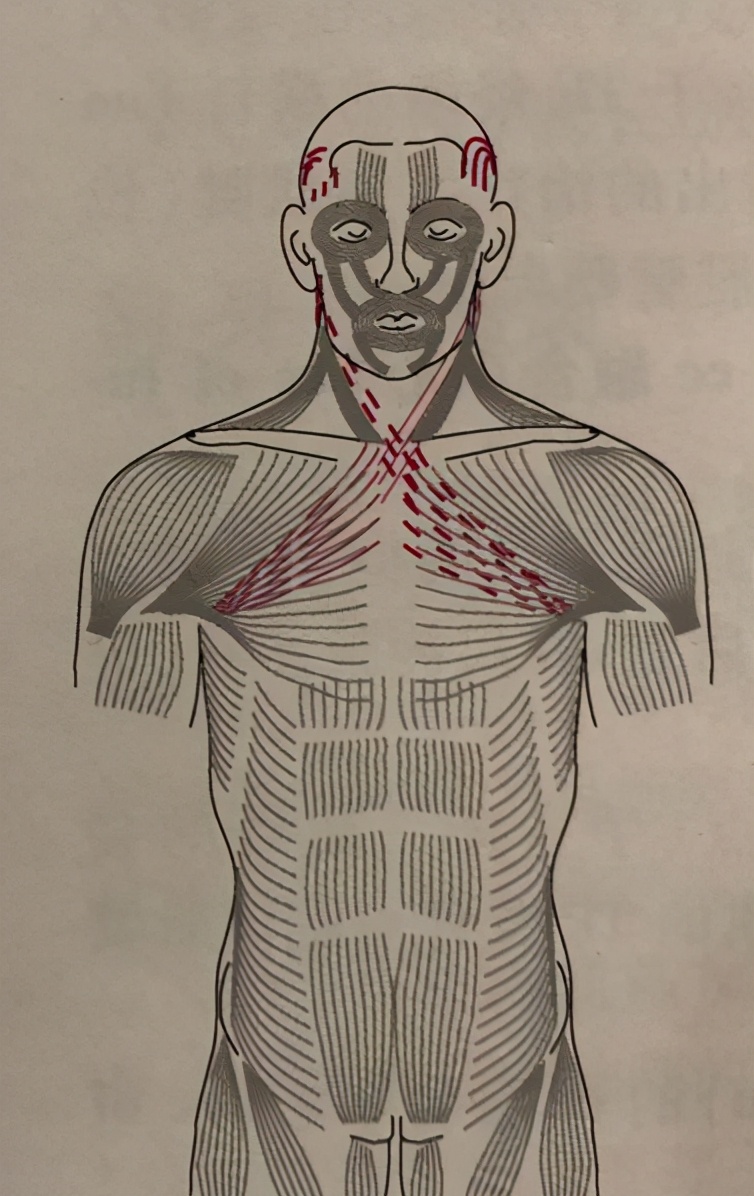 矫正脸部歪斜手法,改善脸歪大小脸动作