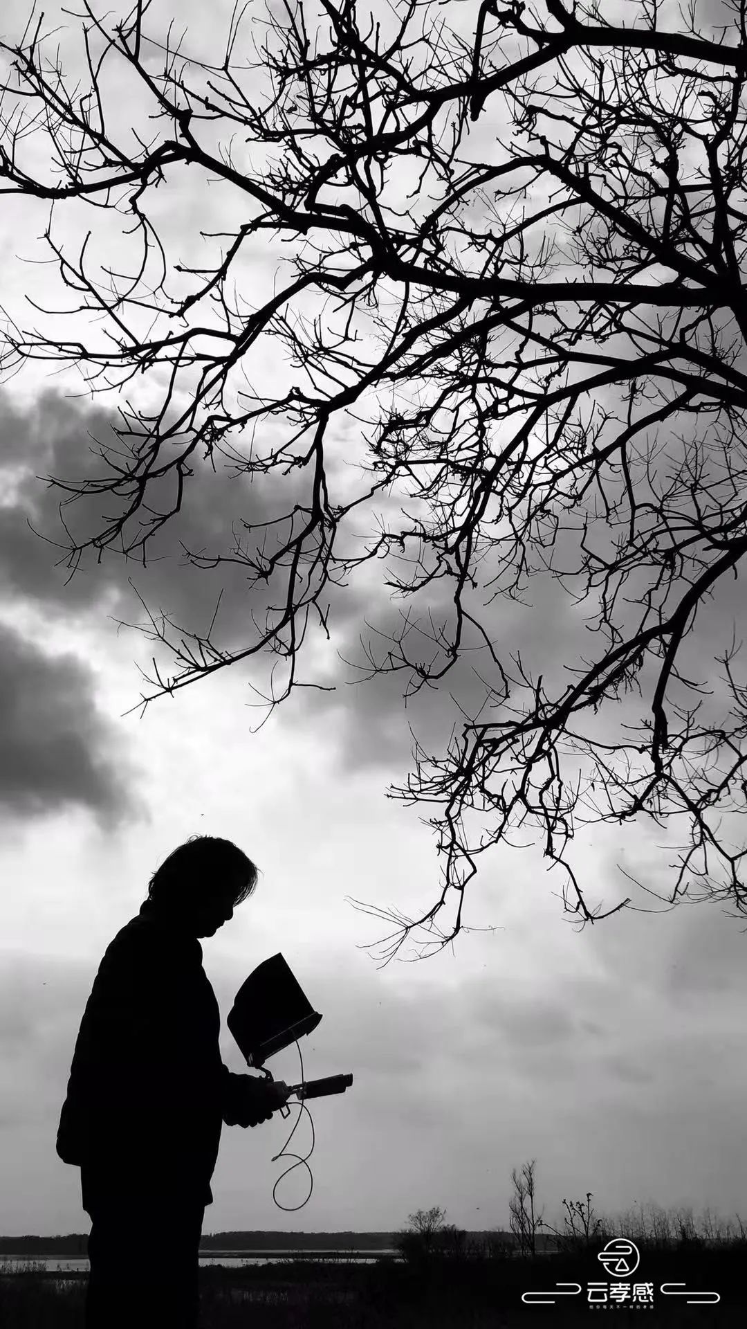 李鸿飞摄影作品初春,李鸿飞画家