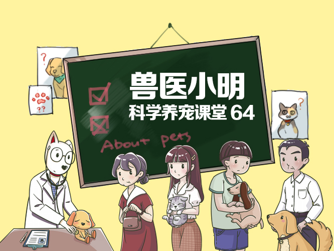 狗狗得了细小主人治病视频,狗狗易患的疾病铲屎官养犬须知