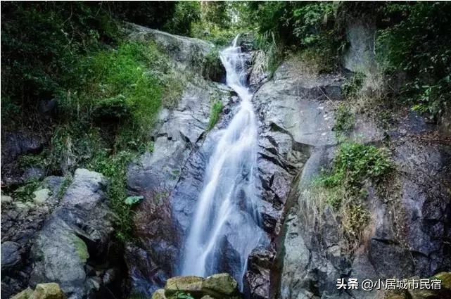 从化旅游景点大全樱花,从化樱花旅游景点