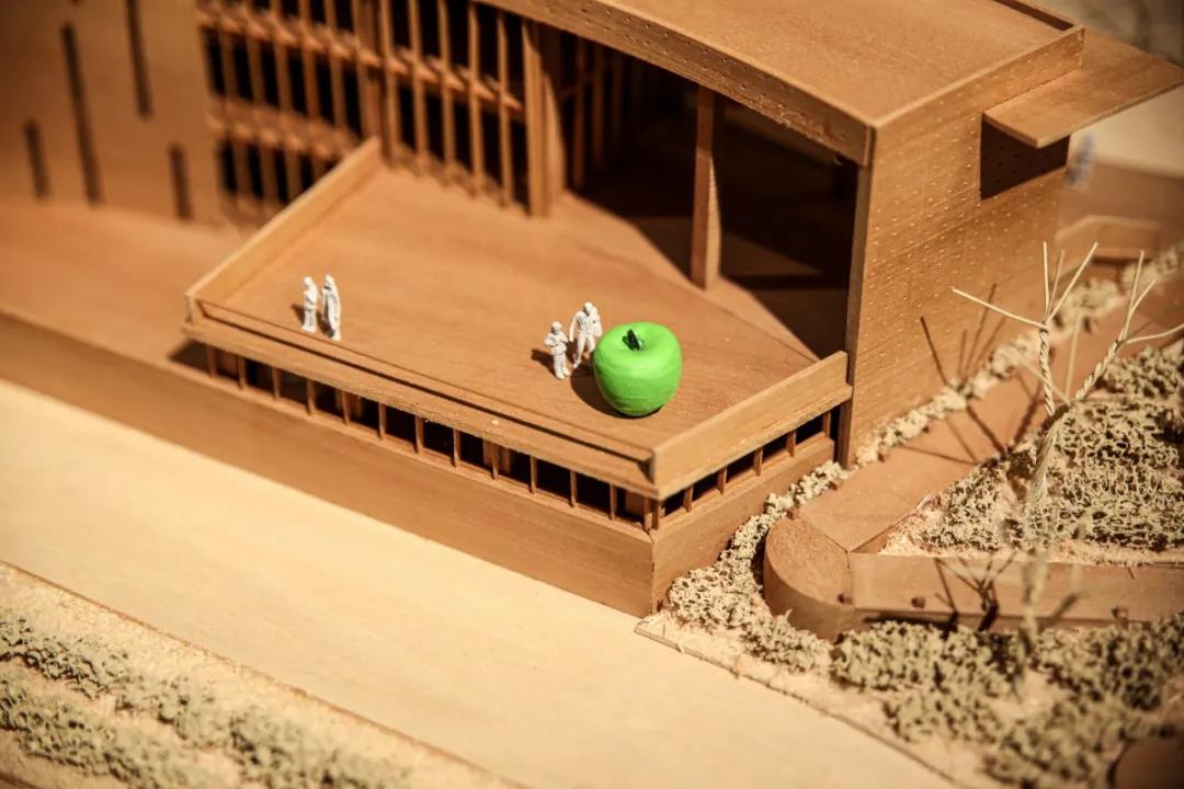 安藤忠雄水之教堂俯视图,安藤忠雄小众惊艳之作