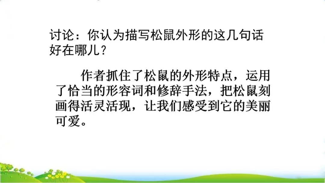 五年级语文第17课松鼠讲解,五年级上册第17课松鼠教材详解