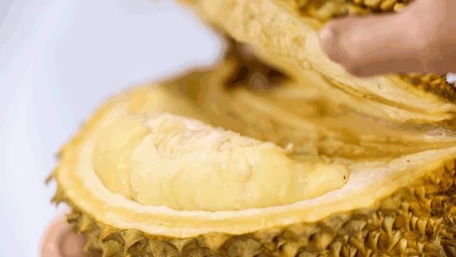 深圳排名前十的面包店,深圳最正宗的面包店