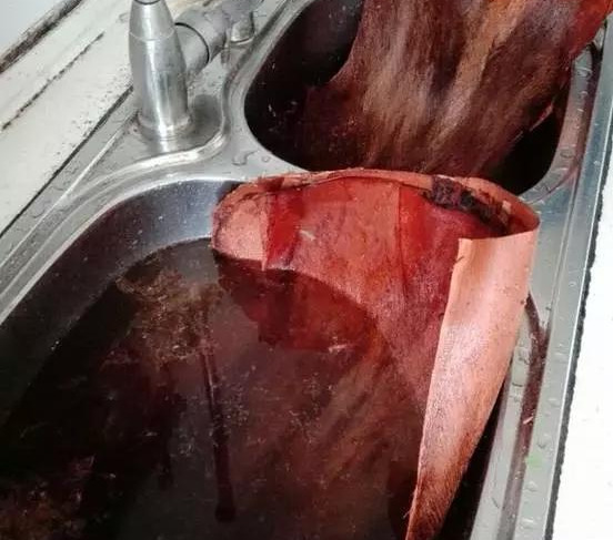 绿萝怎么造型更好看,大绿萝怎么做造型好看