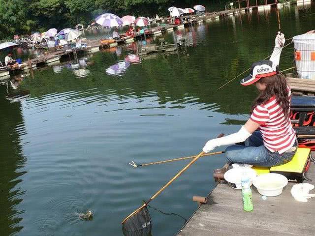 并继鱼竿哪个系列最好,光威捍尊并继鱼竿怎样