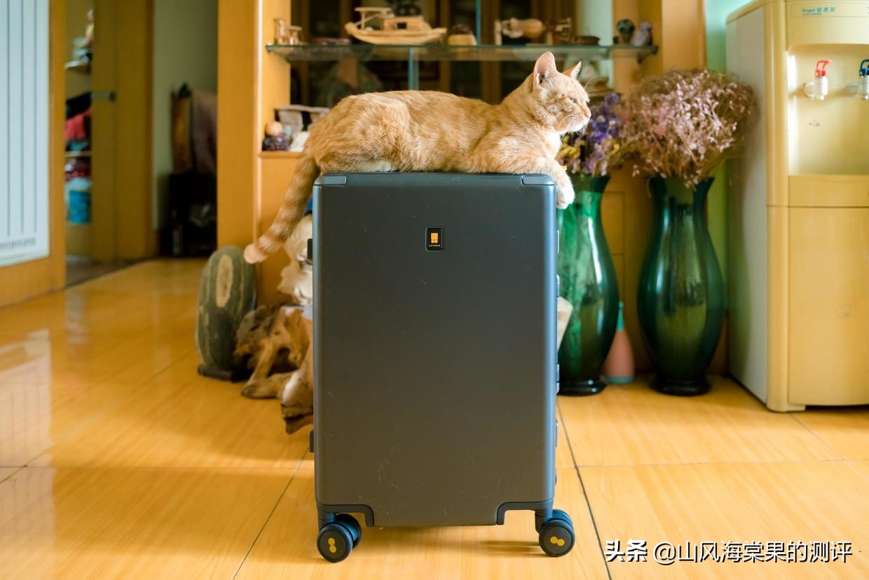 地平线八号行李箱个性装扮,地平线八号行李箱如何鉴定为正品