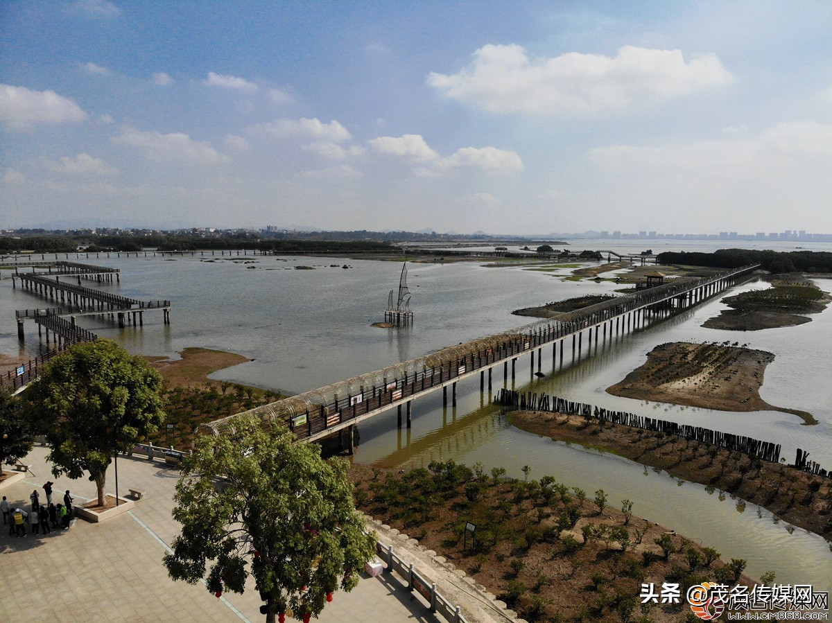 电白在崛起！——2021网络媒体看滨海（电白）采风活动