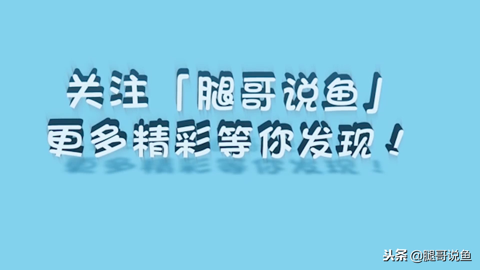 大缸什么过滤效果最好,什么过滤方式小缸效果最佳