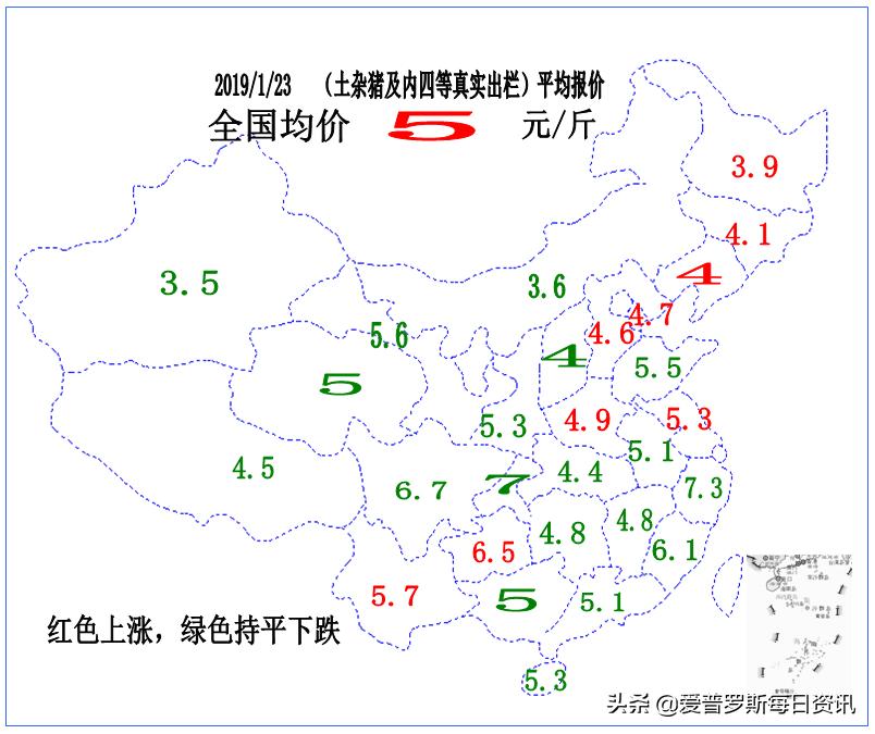 分析师谈猪价大涨 (郑老师分析猪价)