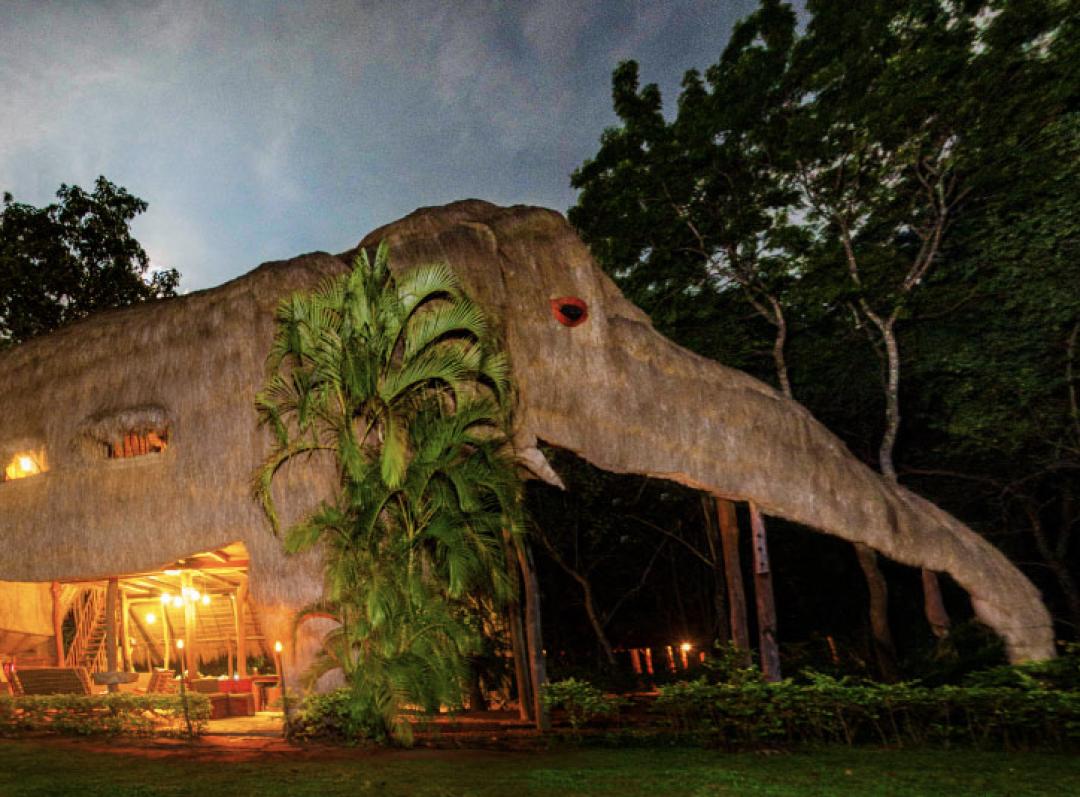 看了就想养的宠物,看了就想抱的宠物