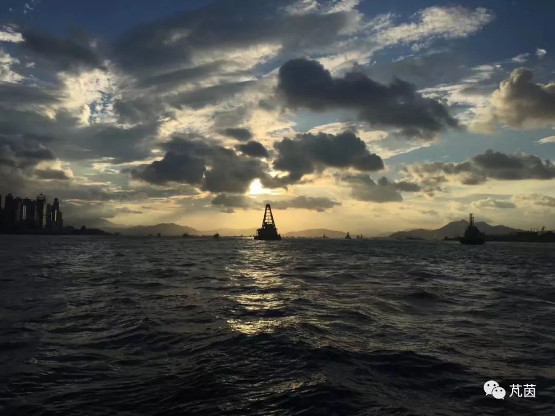 游走在香港大学,游走在深港边缘