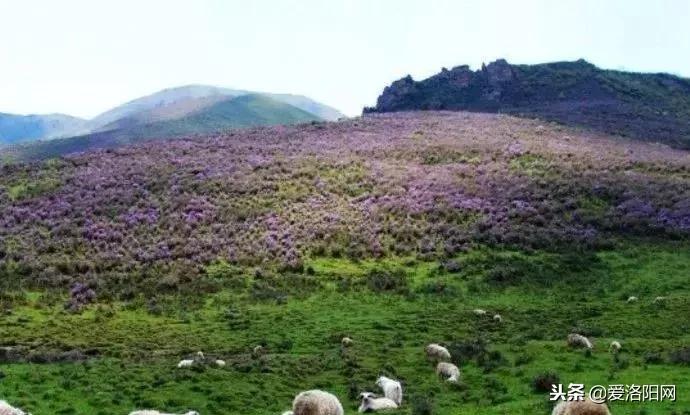 洛阳出发5天旅游攻略,10天旅游最佳路线图从洛阳出发