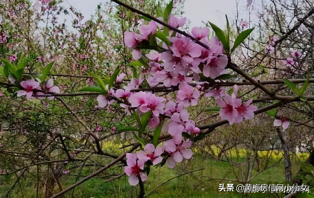 小池带大家去哪里玩,小池玩的地方