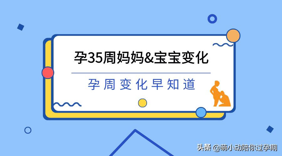 孕妈妈孕6周日常生活记录vlog,孕35周注意事项和胎儿发育情况