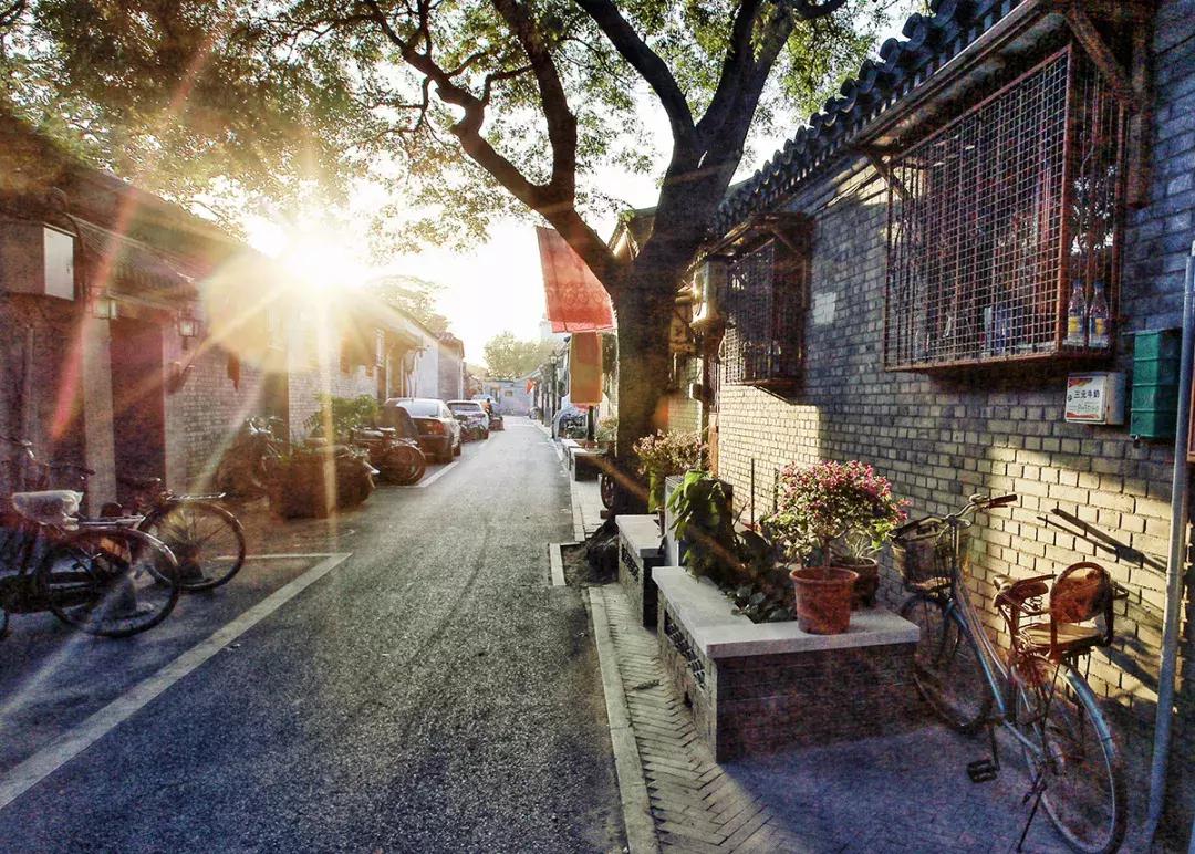 青苗夏令营活动,青苗夏令营