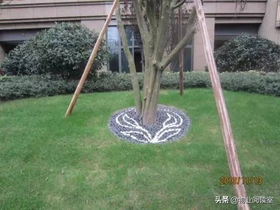 小区绿化养护一般做哪些工作,小区绿化养护需要什么资质