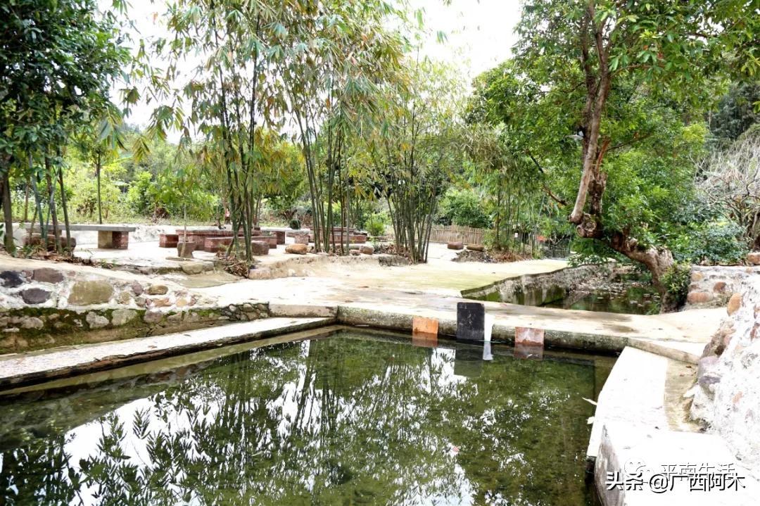 日新月异的家乡变化,家乡的面貌发生了日新月异的变化