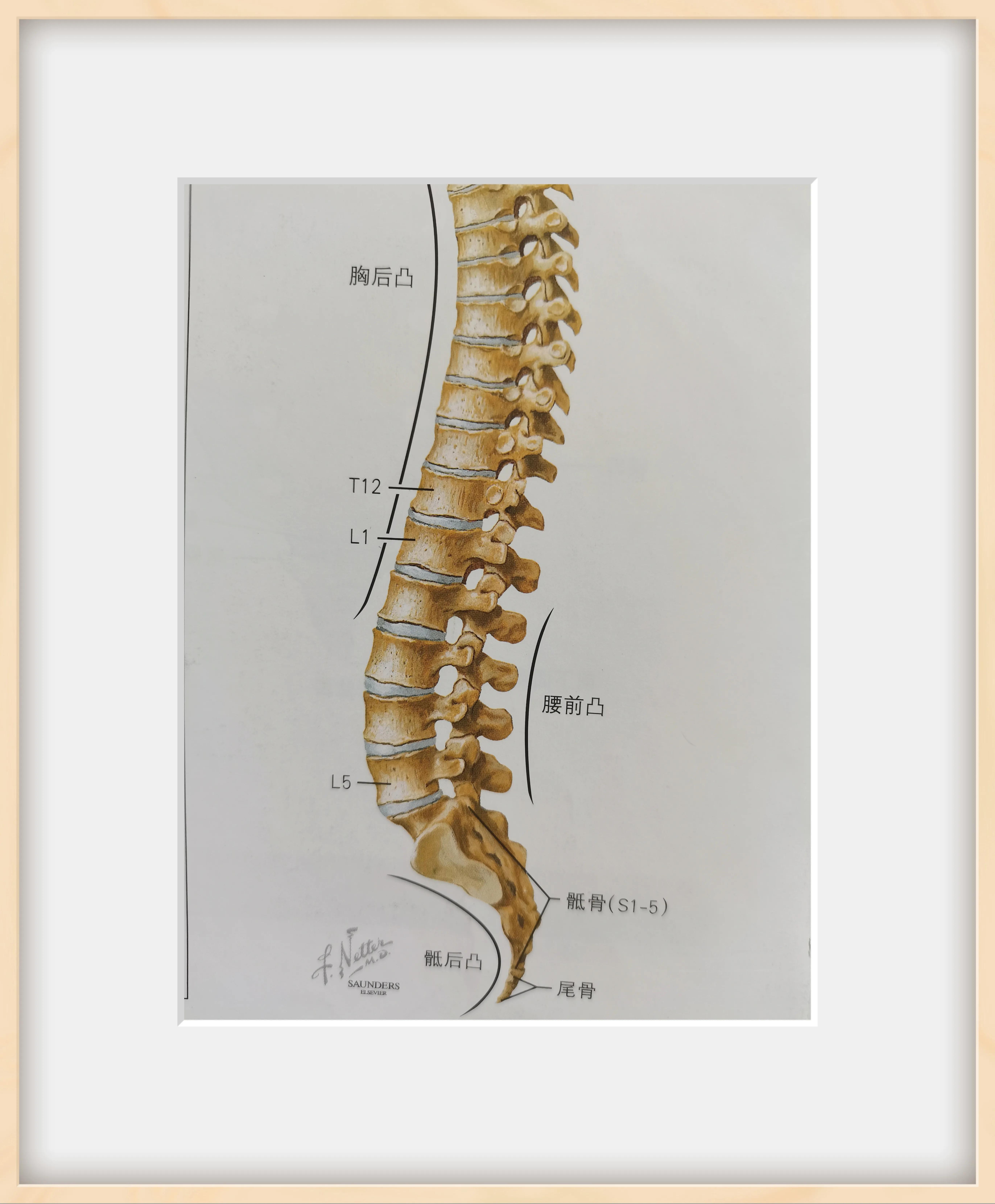 闪腰了如何快速缓解,闪腰了有什么方法快速恢复止痛