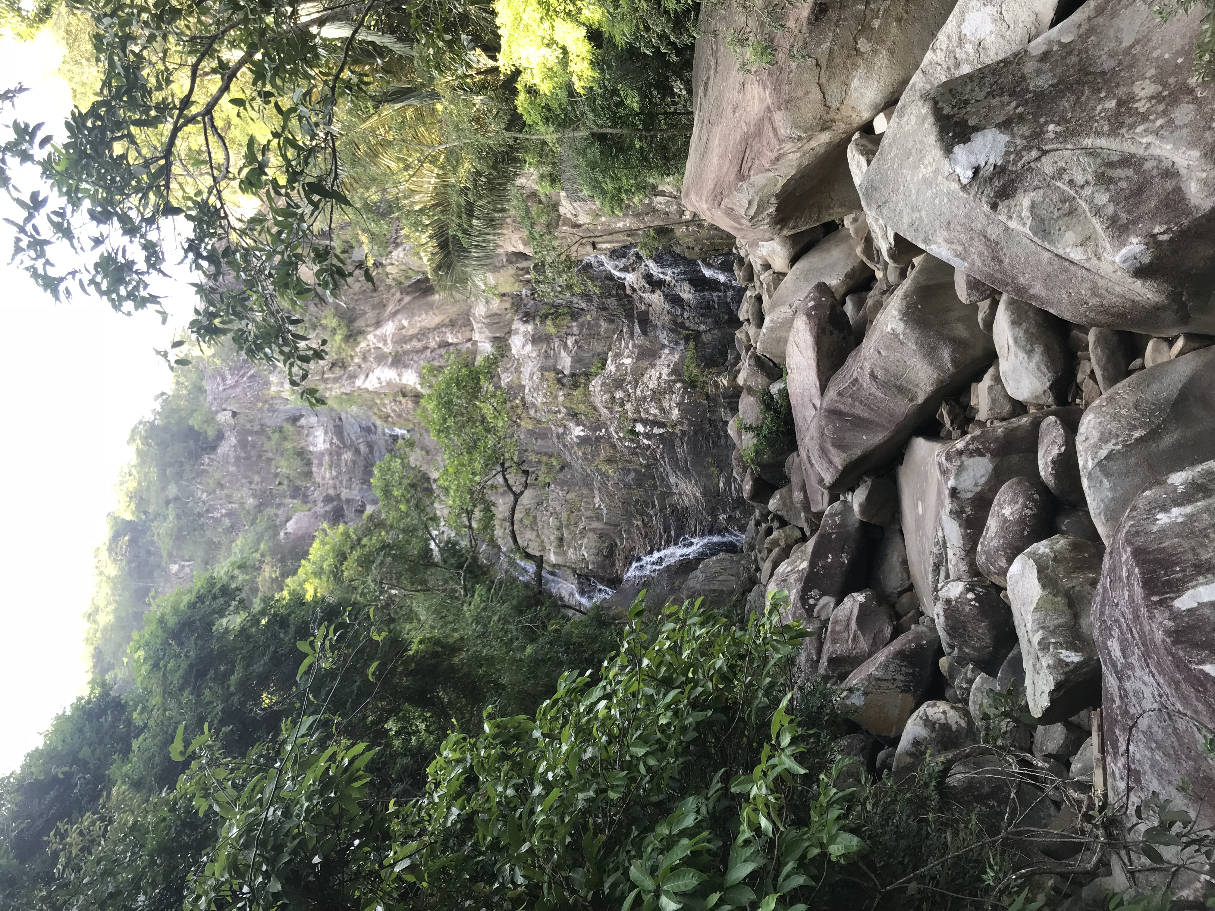 1500年的“母生”藏于此，这里集海南珍稀名木，神奇霸王岭