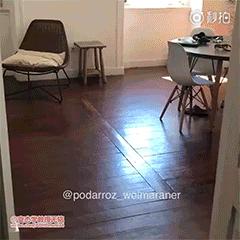 特别搞笑的收藏照片,值得收藏的gif动图