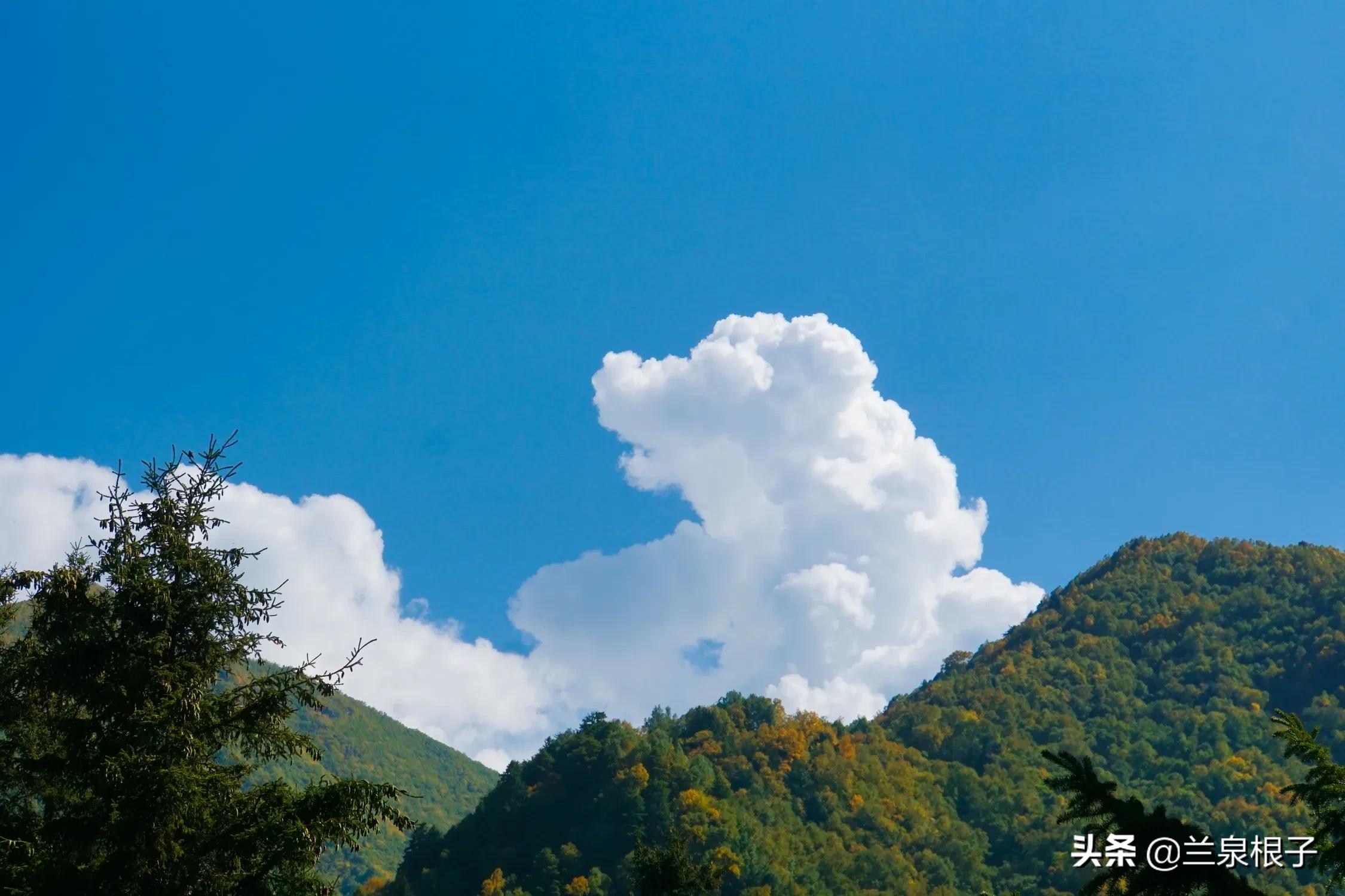 秋日之旅旅游攻略,秋日自驾游视频