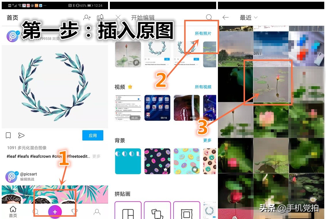 荷花开放加人像特效,荷花特效加照片